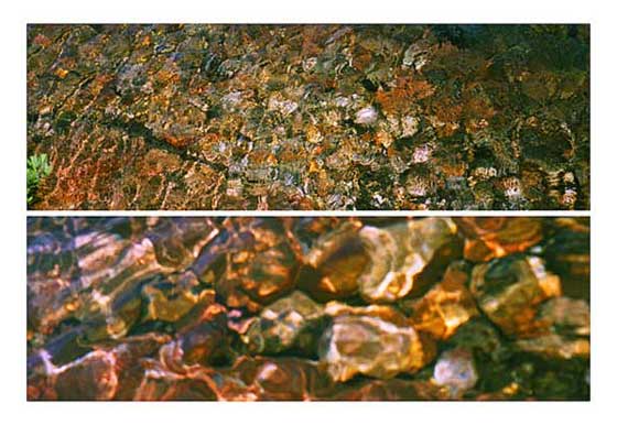 Shoreline Revealed I & II